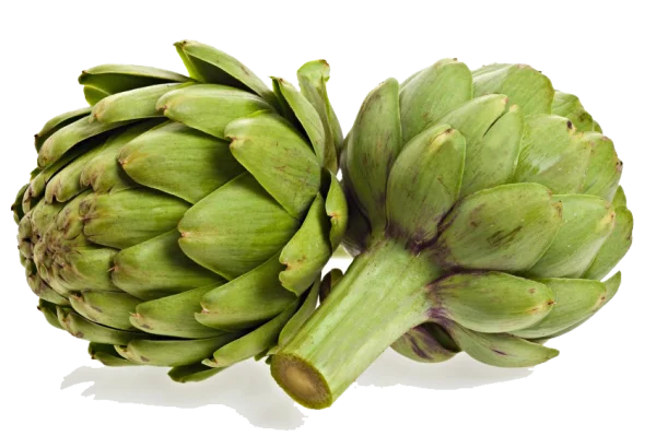 Two Fresh Artichokes PNG Transparent Background