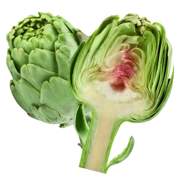 Fresh Artichoke Whole and Half Cut PNG
