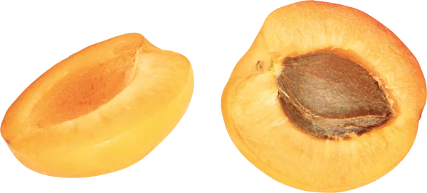 Fresh Apricot Halves with Pit PNG Transparent