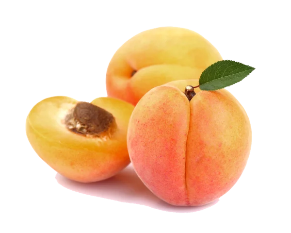 Fresh Apricots with Leaf and Cut Half PNG Transparent Background