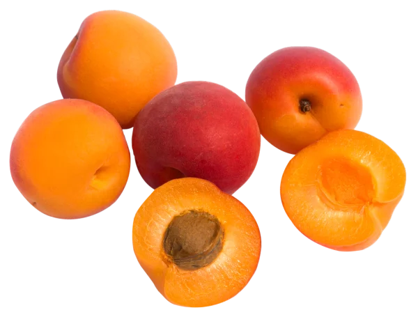 Fresh Apricots Whole and Halved PNG Transparent Background