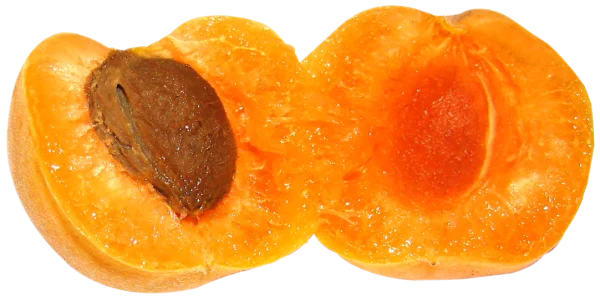 Fresh Apricot Halves PNG Transparent Background