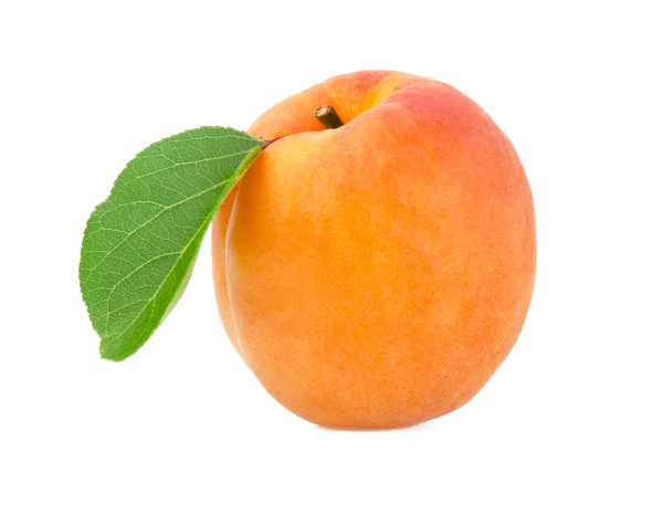 Fresh Apricot with Green Leaf PNG Transparent
