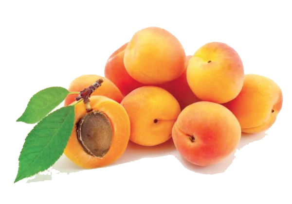 Pile of Ripe Apricots with Leaves PNG Transparent