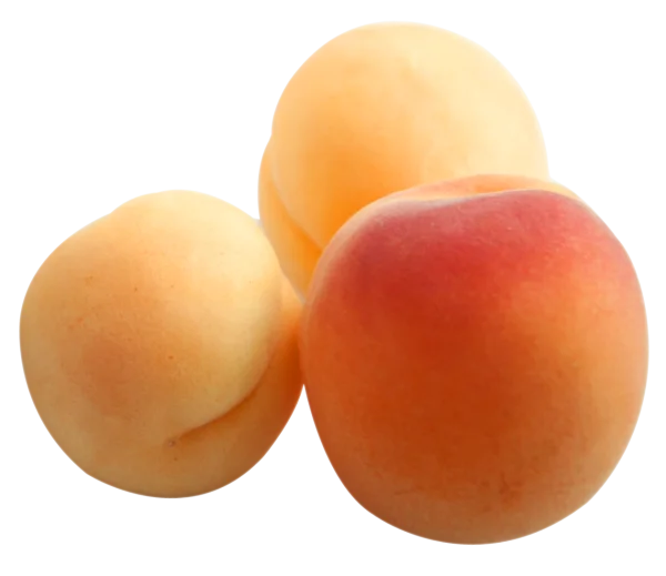 Ripe Apricots PNG Transparent Background