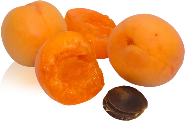 Fresh Whole and Halved Apricots PNG with Pit Transparent Background