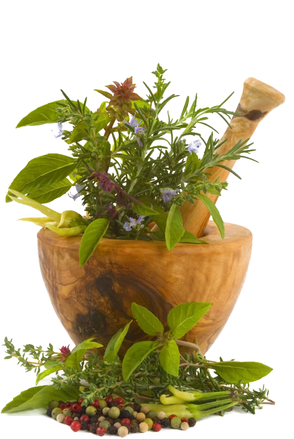 Mortar and Pestle with Fresh Herbs and Spices PNG