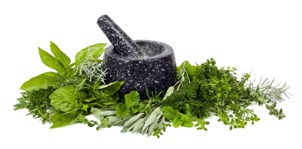Mortar and Pestle with Fresh Herbs PNG Transparent Background