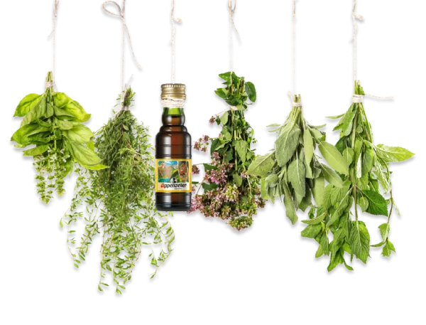 Hanging Herbs and Appenzeller Bottle PNG