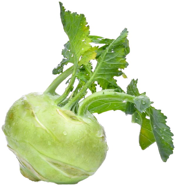 Fresh Kohlrabi with Leaves PNG Transparent Background