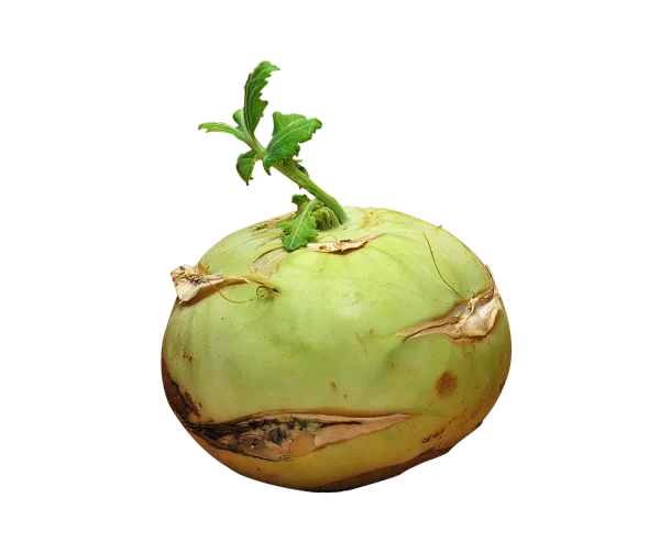 Fresh Kohlrabi with Leaves PNG Transparent Background