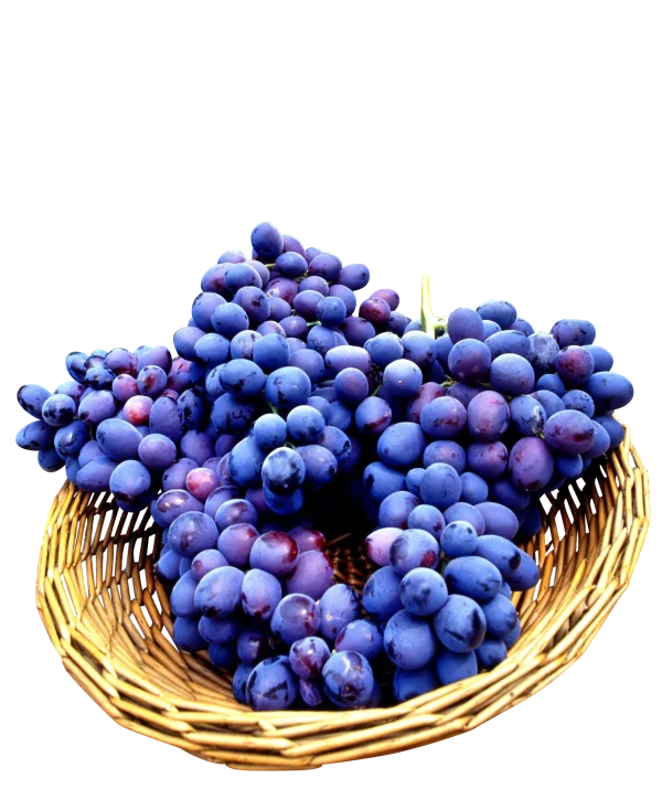 Blue Grapes in Wicker Basket PNG Transparent Background