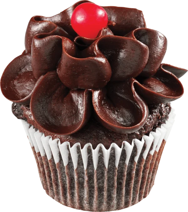Chocolate Cupcake with Cherry PNG Transparent Background