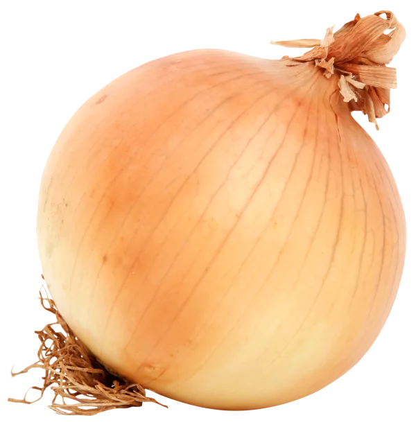Whole Yellow Onion PNG Transparent Background