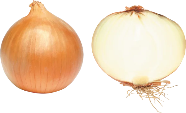 Brown Onion Whole and Sliced PNG Transparent Background