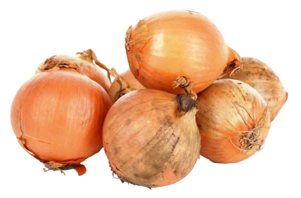 Pile of Yellow Onions Transparent Background PNG