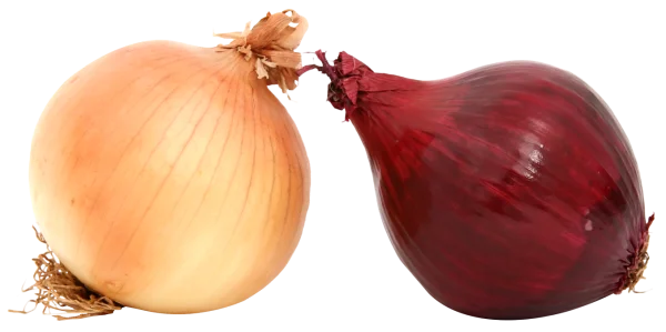 Yellow and Red Onions Transparent PNG