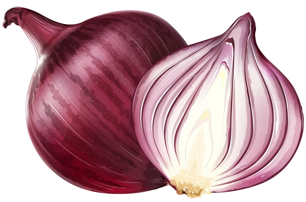 Red Onion Whole and Half PNG Transparent Background