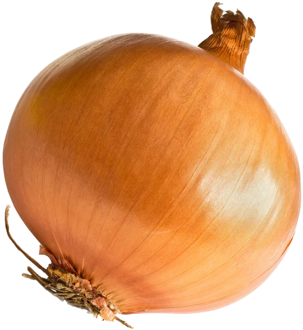 Fresh Yellow Onion PNG Transparent Background