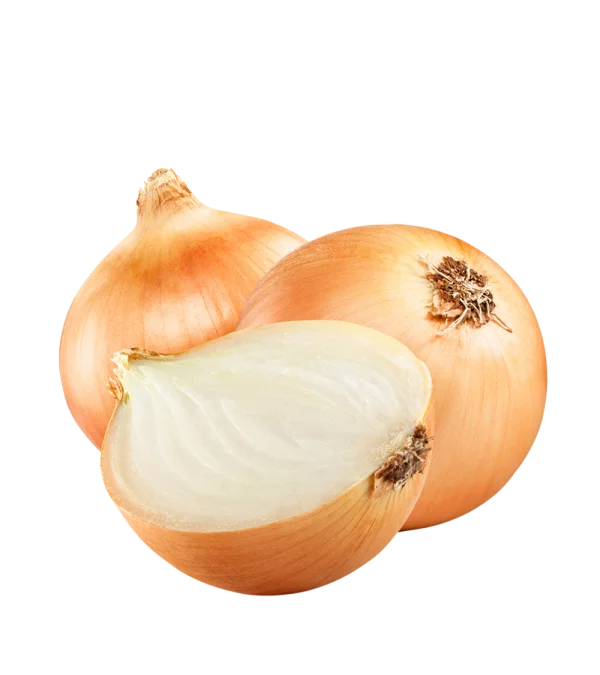 Onions PNG Transparent Background