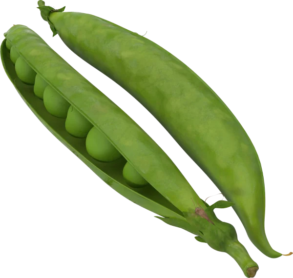 Fresh Green Pea Pods PNG Transparent Background