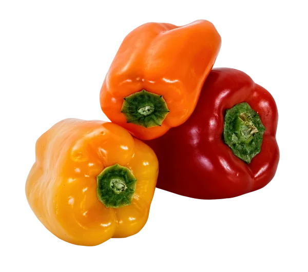 Assorted Colorful Bell Peppers PNG Transparent Background