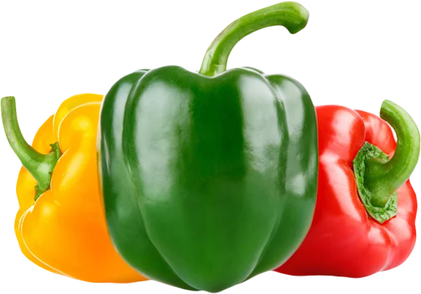 Three Colorful Bell Peppers PNG Transparent Background