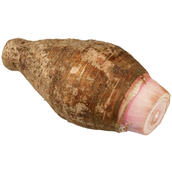 Taro Root PNG Transparent Background