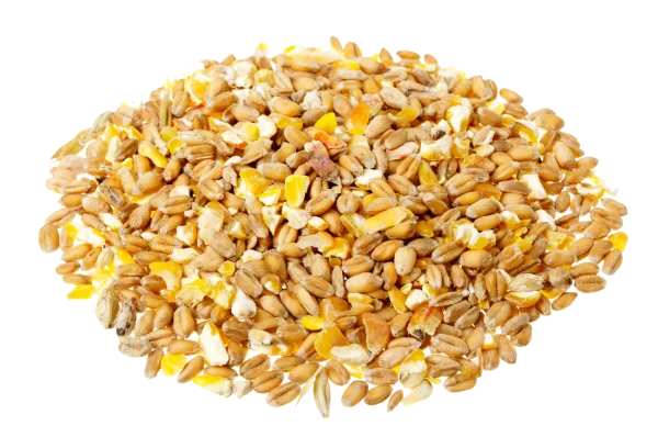 Mixed Grains and Cracked Corn PNG Transparent Background