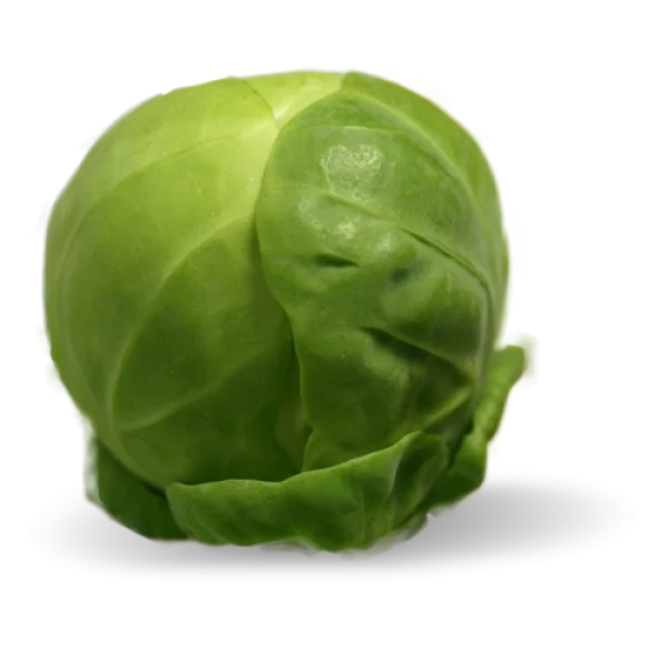 Brussels Sprout PNG Transparent Background