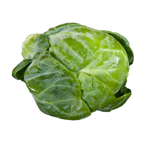 Fresh Brussels Sprout PNG Transparent Background