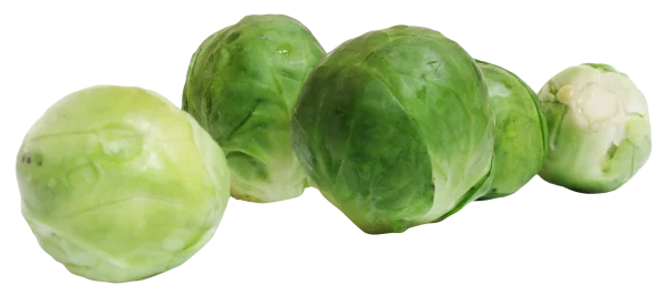 Fresh Brussels Sprouts PNG Transparent