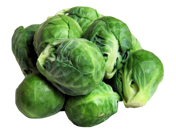 Fresh Brussels Sprouts Transparent PNG