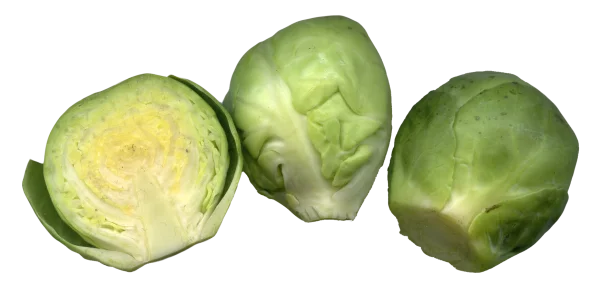 Brussels Sprouts PNG Transparent Background