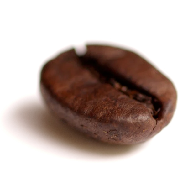 Detailed Coffee Bean PNG Transparent Background