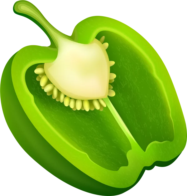 Green Bell Pepper Half Transparent PNG