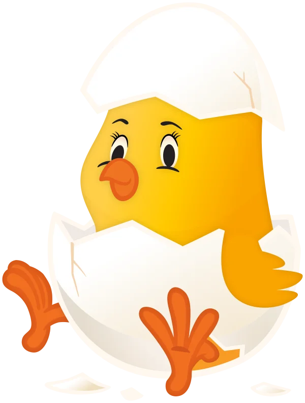 Cute Baby Chick Hatching from Egg PNG