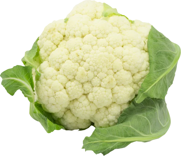 Fresh Cauliflower PNG Transparent Background