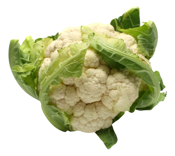 Fresh Cauliflower with Green Leaves PNG