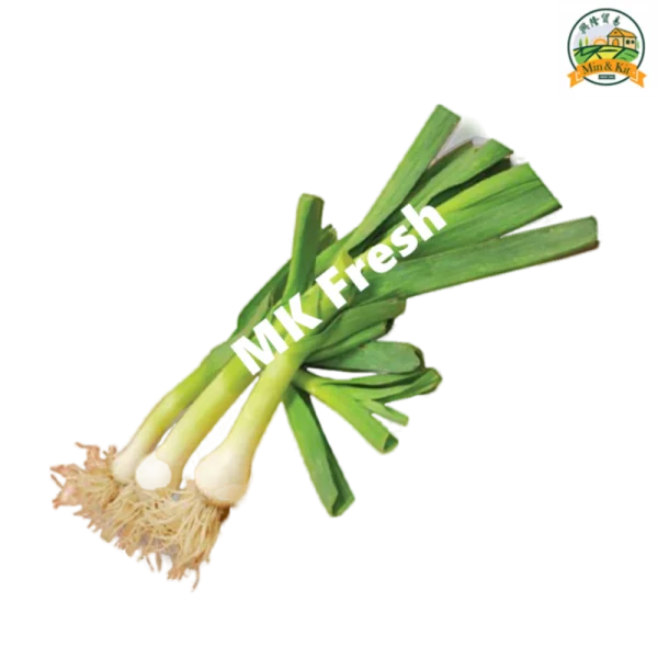 MK Fresh Spring Onions Bunch PNG Transparent Background