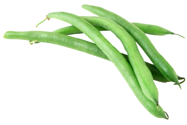 Fresh Green Beans PNG Transparent Background