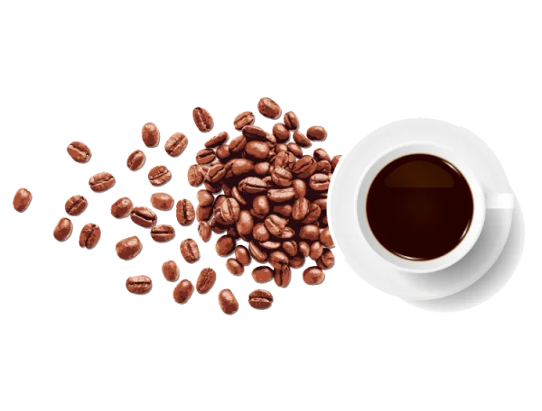 Coffee Beans and Cup of Hot Coffee PNG