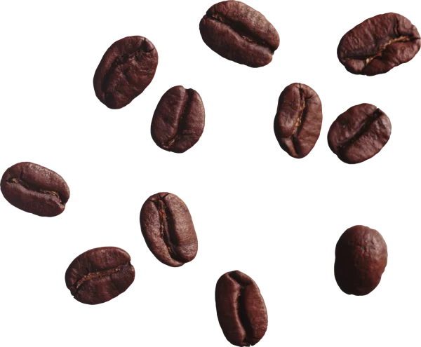 Scattered Roasted Coffee Beans PNG