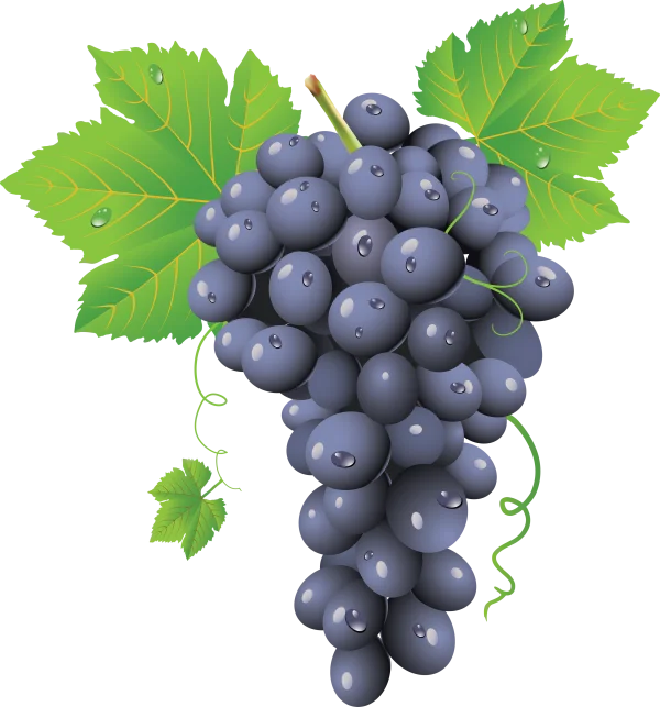 Fresh Grape Bunch with Leaves PNG Transparent Background