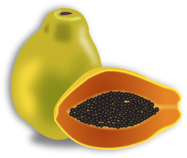 Fresh Papaya Fruit PNG Transparent Background