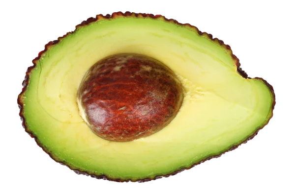 Fresh Avocado Half with Pit PNG Transparent Background