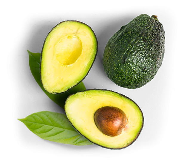 Fresh Avocado Whole and Halved PNG