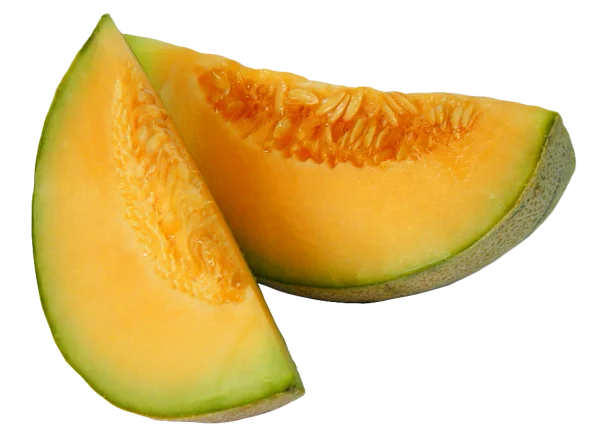 Cantaloupe Slices PNG Transparent Background