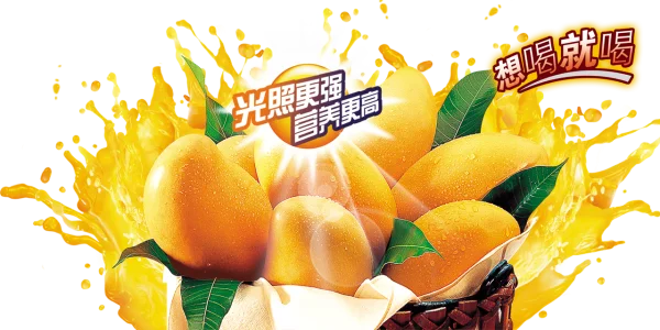Ripe Mangoes with Juice Splash PNG Transparent