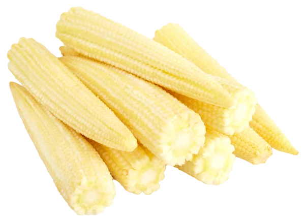 Fresh Baby Corn Transparent PNG